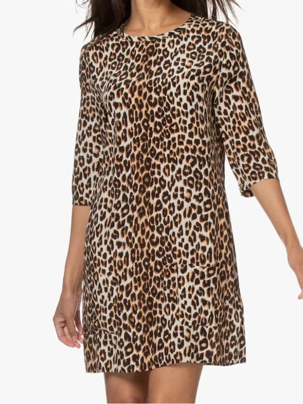 Equipment Aubrey Leopard Print Silk Dress Small